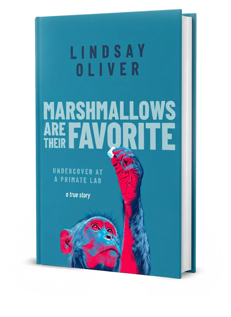 Marshmallows Are Their Favorite by Lindsay Oliver