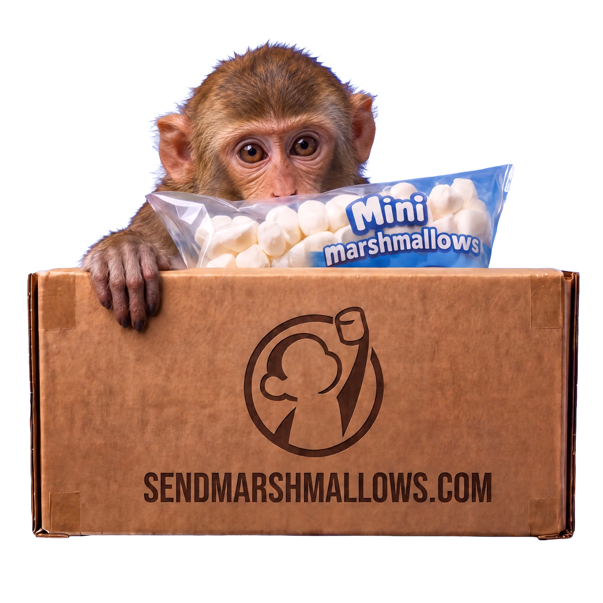 A monkey peering over a Send Marshmallows box, holding a bag of mini marshmallows